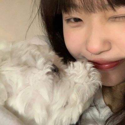 半导体育官方app